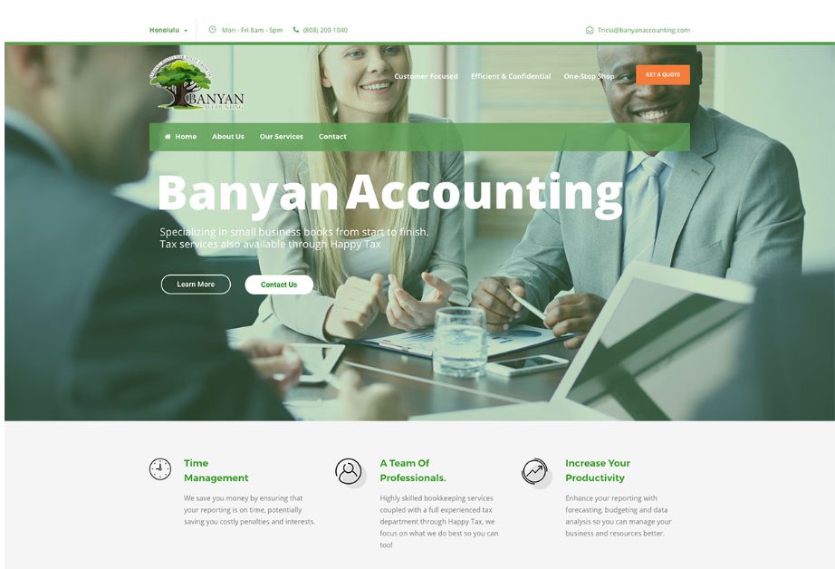 Professional accounting business website design