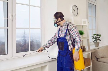 VANTA Pest Defense