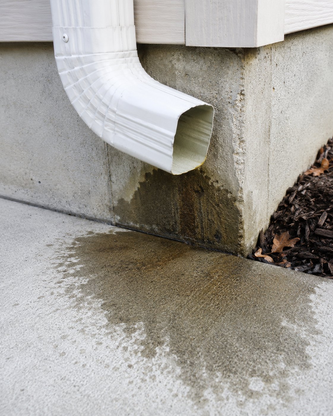 Downspout moisture detail
